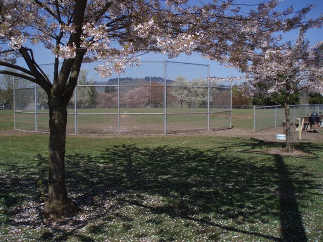 Legion Field